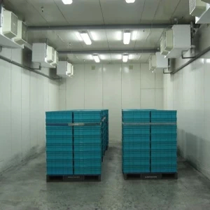 Prefabricated Cold Storage, Cold Treatment System Constant Temperature & Humidity Chamber