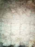 Available Textile Waste