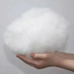 Raw Cotton with Long Staple Length for Superior Yarn and Fabric Quality