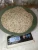 Import SESAME from Nigeria