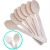 Import Environmental Protection Wooden Spoon Mini Wood Spoon from China