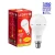 Import 9 Watt Rechargeable Inverter LED Bulb (AC/DC) Emergency Light from India