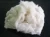 Import 100% Cotton Comber Noil from Vietnam