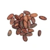 Discounted Price Dried Cocoa Beans