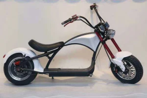fashionable 2 wheel citycoco electric scooter