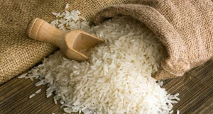RICE