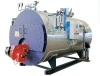 10 bar automatic fuel (gas) 6 ton pure steam boiler with fire tube parts German burner