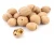 Import 100% Healthy And Best Walnuts In Shell Or Walnut Kernels International Superior Grade. from USA