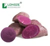 100% Natural and Organic Purple Sweet Potato Powder with Very Good Water-solubility for Food Supplement and Colorant