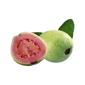 100% nature Guava Leaf Extract Guava Fruit Powder