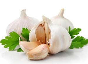 100% Pure Organic Garlic Extract