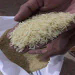 1121 Sella Extra Long Grain Rice Pakistan