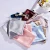 Import 19MM 100% Comfortable and Luxury Mulberry Silk Pillow Case set for Queen Size from China