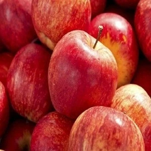 2018 new fresh fruits red Fuji apples