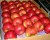 Import 2018 new fresh red apple fruit supplier from China