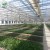 Import 2018 New Product Agricultural/Commercial Plastic Greenhouse from China