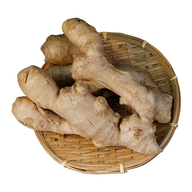 2020 Chinese  fresh ginger high quality ginger export