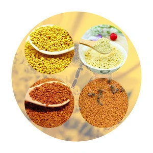 2020 Chinese Wholesale Prices Sale Types Cell Broken Fennel Palm Rape Ginseng HEMP  Organic Extract 20:1 Powder Pine Bee Pollen