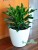 Import 2020 Creative garden smart flower pot ABS plastic self watering planter from China