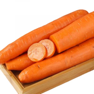 2020 year newest crop fresh carrot factory sells China juicy healthy sweet red  fresh carrot
