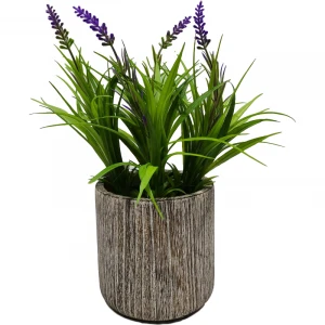 25CM New Lavender potted plant