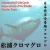 Import 30kg fresh frozen tuna fish price is so cheap at present for seafood from Japan