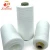 Import 30s/2 virgin yarn China spinning manufacturer 100% polyester yarn from China
