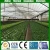 Import 3x3x4cm popular hydroponic Mineral wool, rockwool rock wool cube for lettuce from China