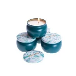 4 pack Natural plants oil extract mosquito candle  customized for indoor use