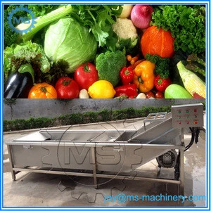 500kg and 1000kg air bubble fruit vegetable washer/ozone fruit and vegetable washer