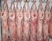 6 Cuts Mutton Meat, Goat Meat and Boer Goat Meat for Sale