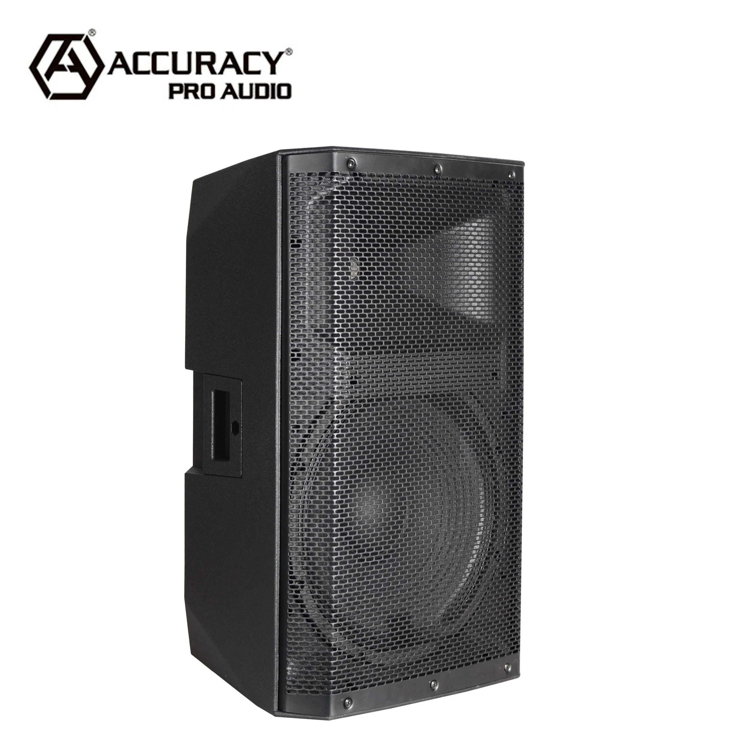 Accuracy Pro Audio CAC15ADA Professional Audio 500W 15&quot; Powered Speaker Inch Active Digital Power Amplifier Speaker System