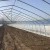 Import agriculture used single-span greenhouse material steel frame greenhouse structure with hydroponic system from China