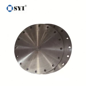 ANSI Custom Factory Outlet 12 Inch DN125 Stainless Steel Blind Pipe Flanges