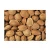 Import Apricot kernel High quality cheap Price Bulk Quantity available Wholesaler from USA