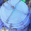 aquaculture net scallop trap
