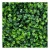 Import Artificial Boxwood 24 Panels 50x50cm Decorative Artificial Plants Plastic Boxwood Hedges Mats Garden Ornaments from China