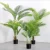 Import artificial plant for home decoration from China