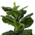 Import Artificial Plants Indoor Potted Plant  Fiddle Leaf Fig Tree Ficus Lyrata Eco-Friendly PEVA 1M/3.28Ft from China