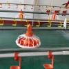 automatic animal feeder line for meat chicken (broilers)