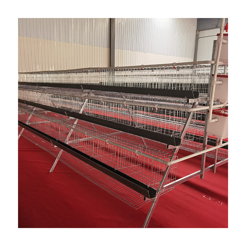 Buy Automatic Egg Layer Chicken Farm Laying Hens Poultry Battery Cages ...
