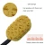 Import Bath Brush Sponge and Scrubber Accessories Black Body Brush Curved Long Handle Foaming Bath Brush for Exfoliating &amp; Cleansing from China