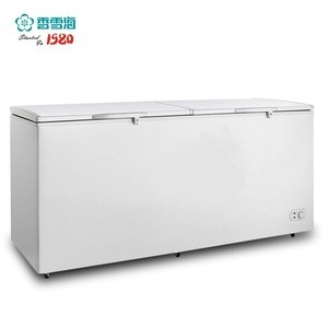 BD-1000 Single temperature freezer 1000l double top open door big capacity chest freezer cb ce ccc iso