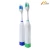 Import BD3002 2018 trending environment friendly products oral hygiene electric toothbrush from China