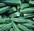 Import BEST QUALITY FRESH OKRA from South Africa