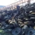 Import Bulk Cast Iron Scraps / HMS1 & HMS2 Scraps for sale from Brazil