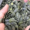 Bulk Edible Nuts Hybrid GWS Pumpkin Seeds Kernels for Sale