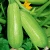 Import bulk peeled green vegetable fresh frozen zucchini for sale from China