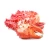 Import Canadian Red King Crab Legs/king crab legs wholesale price from United Kingdom