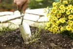 Carbon Steel Mirro Polished Plastering Planting Stainless Steel Agriculture Hand Tools Garden Trowel
